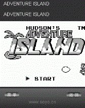 game pic for Hundons Adventure Island